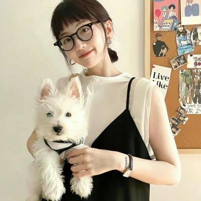 杜拉拉追婚记